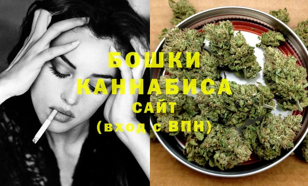 мдпв Майский