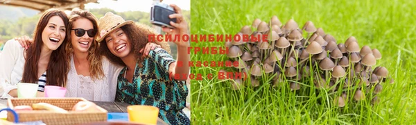 бошки Магас