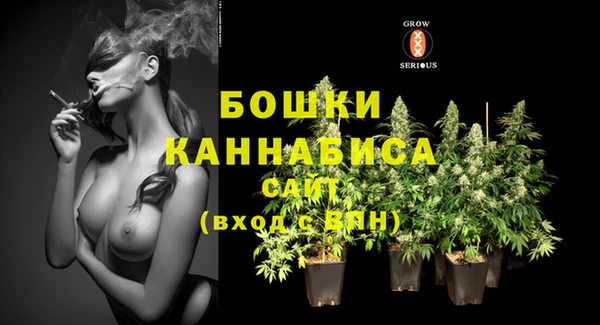 мдпв Майский